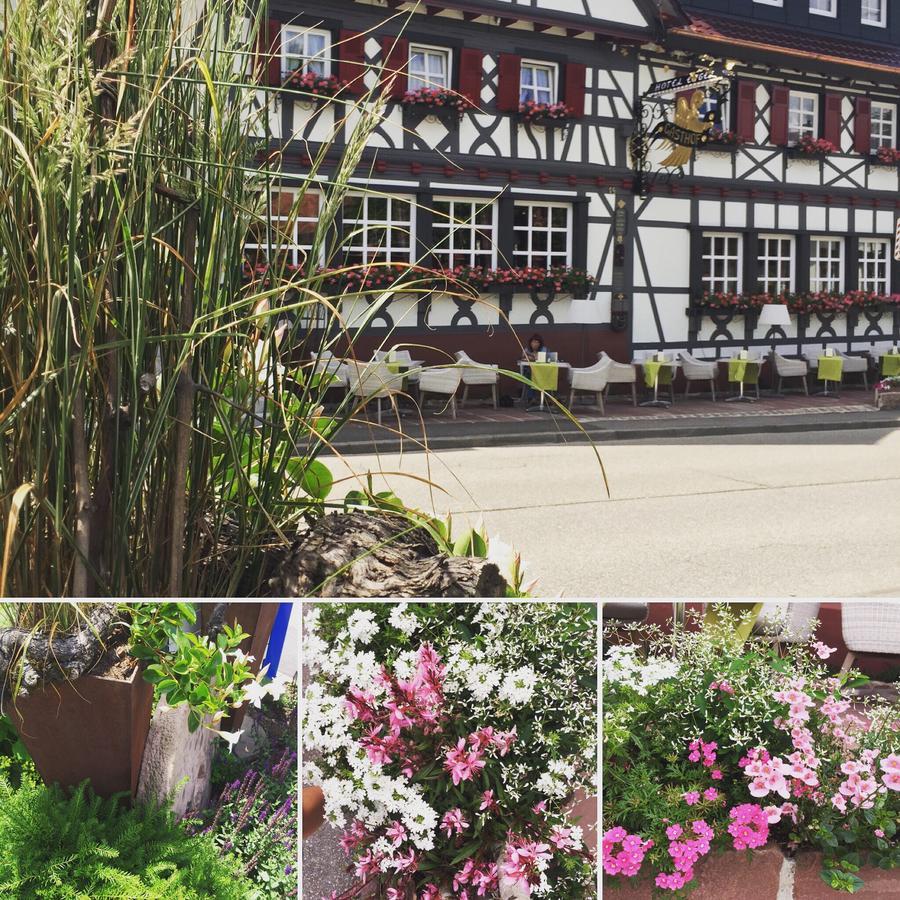 Hotel Restaurant Der Engel, Sasbachwalden Eksteriør bilde